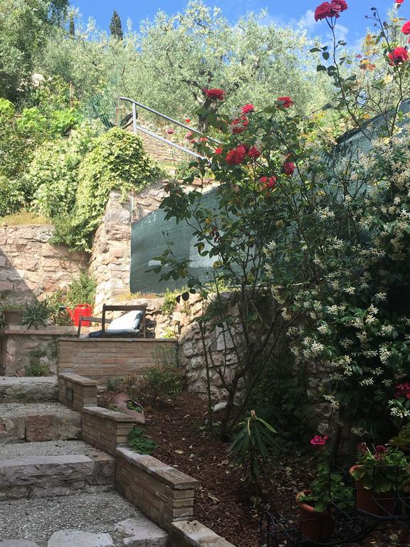 אסיסי Apartments Aurora Delle Rose מראה חיצוני תמונה